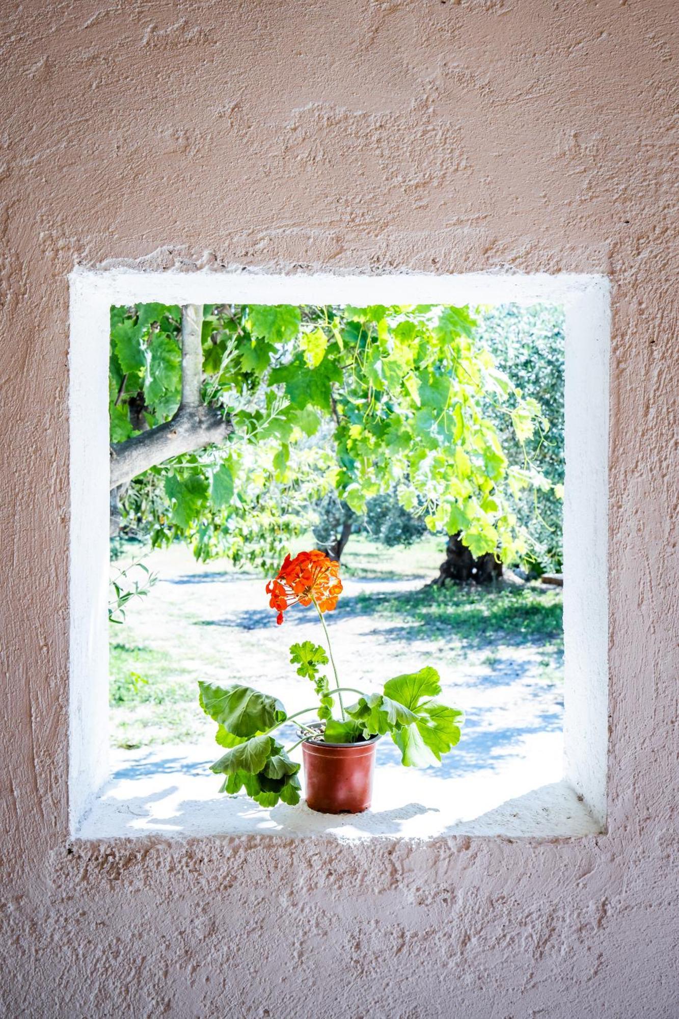 Vila Eleonora'S Skopelos Exteriér fotografie